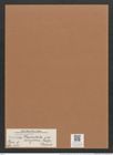 Navicula placentula var. anglica (Ralfs.) Grun. (de-Toni-Nr.: Genus 1, Species 137) Zeichnungen Sammlung Grunow Mappe 00122 (Herbarium_W_Grunow_drawings_Folder_00122)